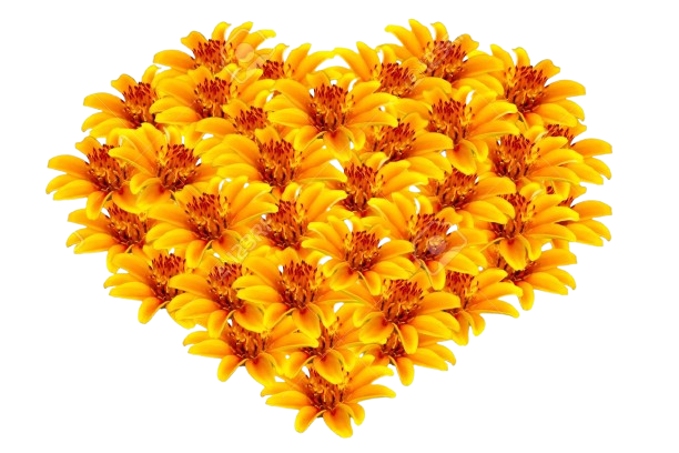 Flores Amarillas